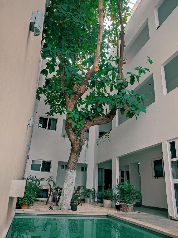 פלאייה דל כרמן Cozy Studios Zazil-Ha מראה חיצוני תמונה